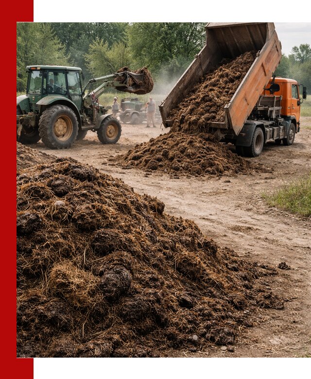Доставка навоза самосвалами в Кызыле для сельхозпотребностей