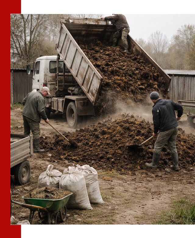 Доставка коровьего навоза самосвалом в Кызыле